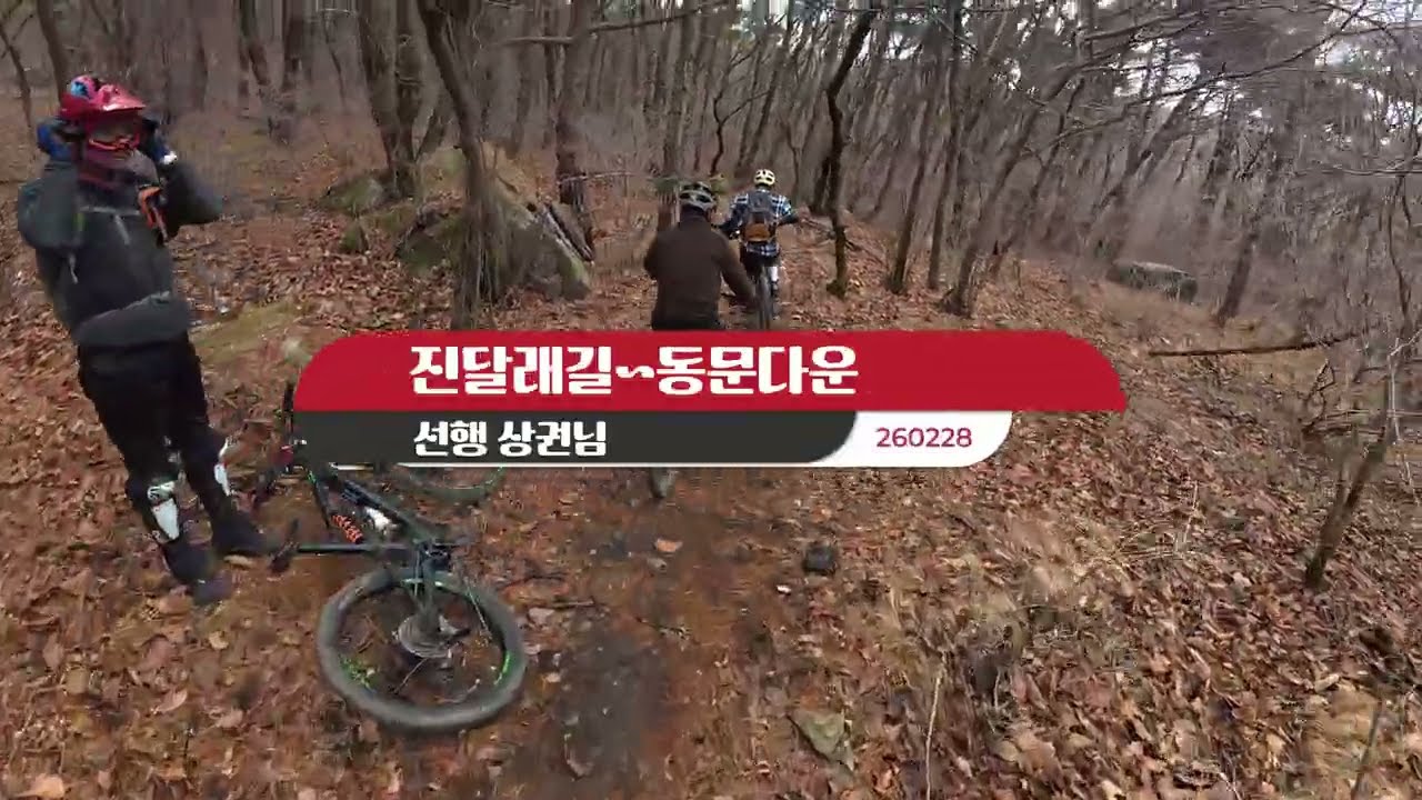 260228 #와일드바이크#오장터#진달래길#동문다운