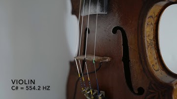 C# 554.2 hz Violin Fiddle Drone