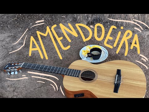 Vídeo: Amendoeira