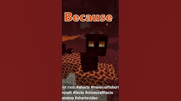 Reacting To My Subscribers Part 2 #shorts #roadto100subs #reactingonyourvideo