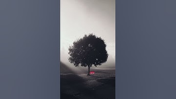 القران الكريم تحبير القارىء انس المالك
