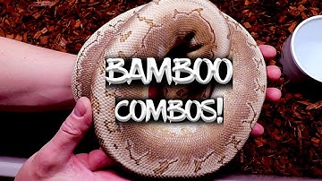 My Bamboo Combs (And How to Make Them!)