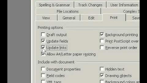 Microsoft Office Word 2003 Update fields or linked information before you print