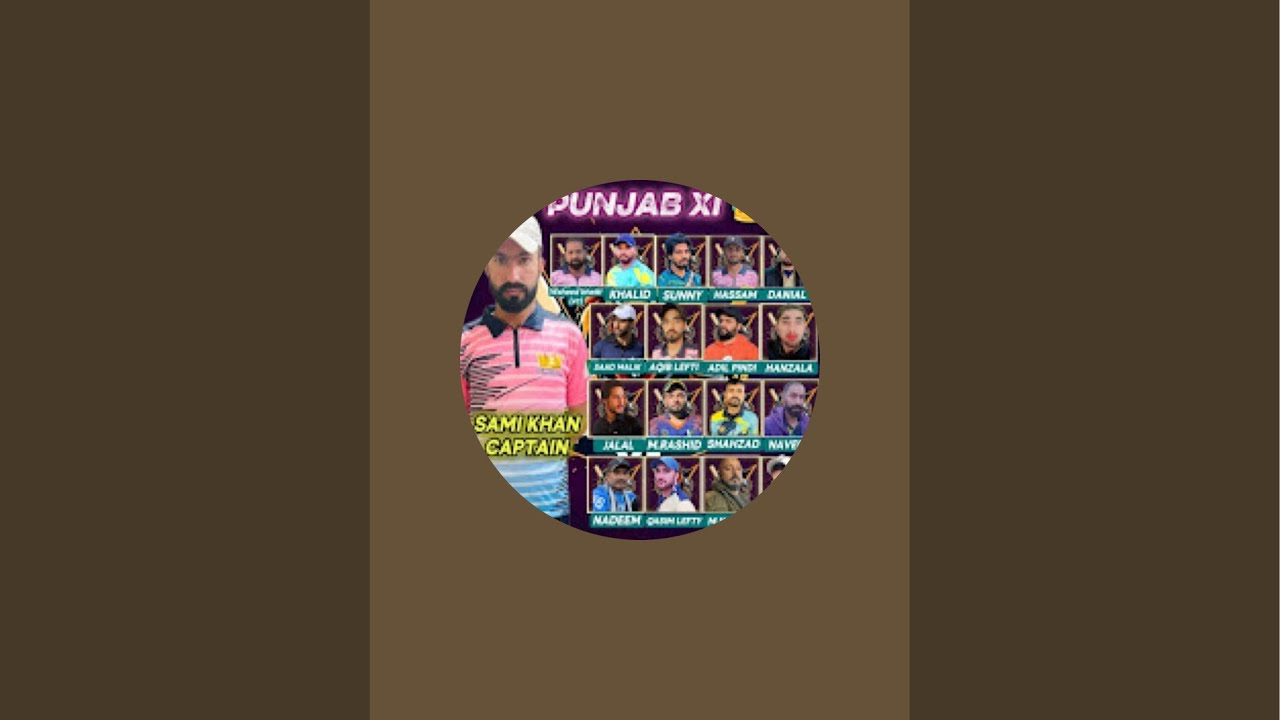 Punjab Xi vs scorpions XI T20 match