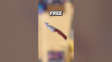 The 5 Best CHEAP CS2 Knives