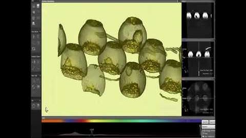 Xavis H130 BGA 3D Inspection