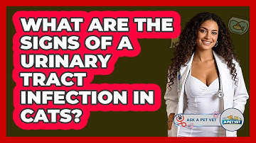 What Are The Signs Of A Urinary Tract Infection In Cats? - Ask A Pet Vet