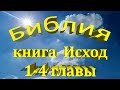 Исход 1-4 главы