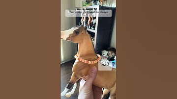 Ik it’s not that much compared to other collectors lol 🫣 #horses #breyers #peterstone #modelhorses