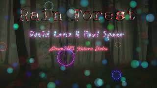 David lanz & Paul speer - Rain Forest #midnight_music #night_music #sleeping_pills