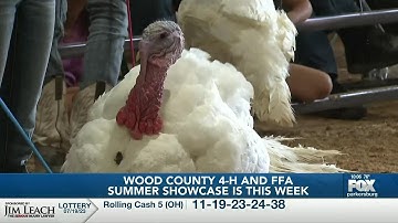 Wood County Summer Showcase is this week