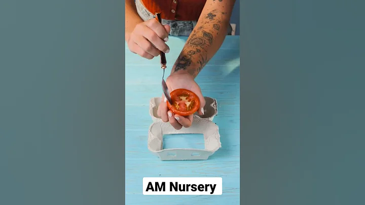 7 FATAL MISTAKES: Why Seeds Not Germinating or Sprouting? #shorts #viral#viralvideo