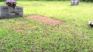 Find a Grave Cemetery Hunt - Adkins Cemetery Green Mountain