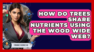 How Do Trees Share Nutrients Using The Wood Wide Web? - Strange Science HQ