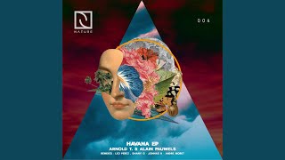 Havana (Leo Perez \& Dhany G Remix)