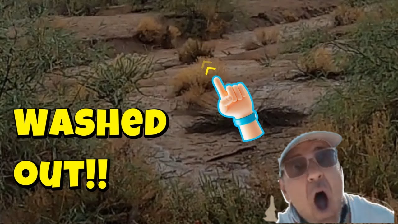 Destruction and Gold - storm of the century yields tremendous rewards