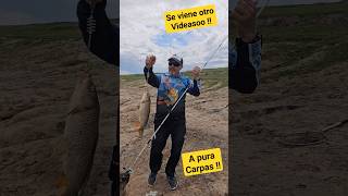 Terrible Pesca de Carpas  en un lugar nuevo , en el Río Salado ... se viene VIDEASOOO !!!