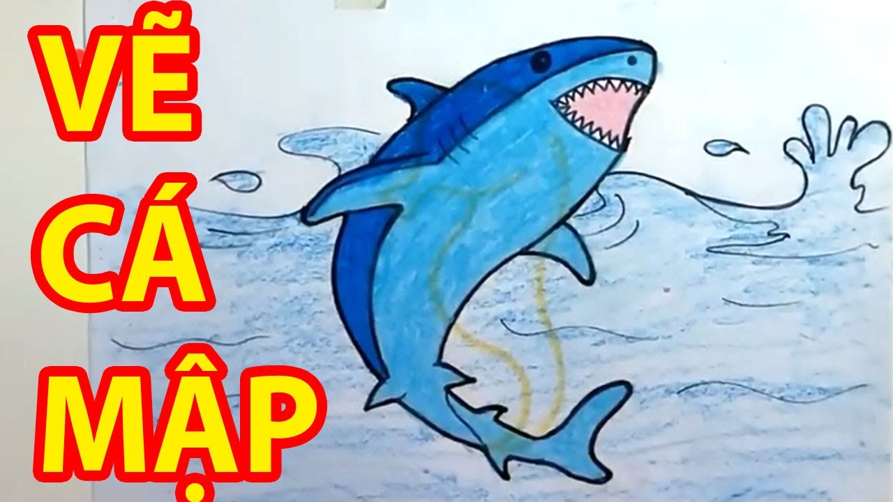 VẼ CÁ MẬP - Cách Vẽ Cá Mập Cute Đơn Giản Dễ Thương - draw sharks ...