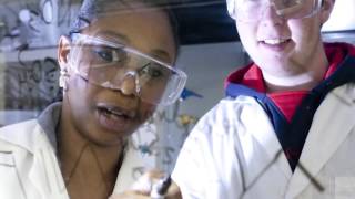 Celebrity The Cognitive Principles of Effective Teaching Video 2 of 5 Profile