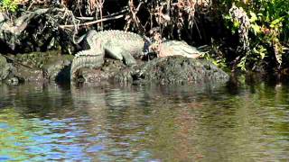 P1000227
