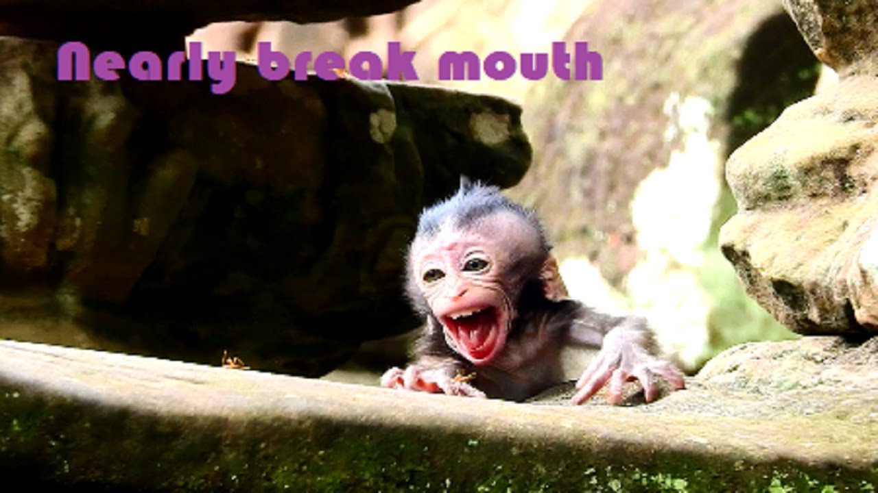 terrify !! heartbreak million pieces of baby,Daniela cry & cry cos Deedee maltreat serious,Very pity