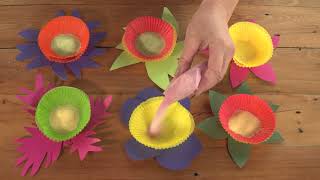 Kid Experiments: Pollen Transfer Experiment | Te Reo Māori | Darwin and Newts