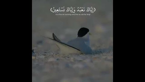 سورة الفاتحة بصوت رائع جداً