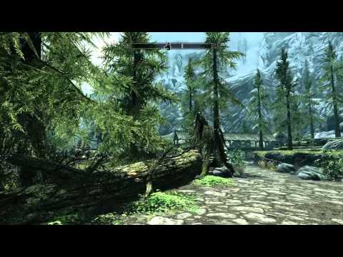 Video: Demo Van No Elder Scrolls V Skyrim