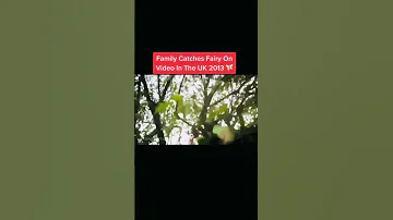 Real Fairy Caught On Camera Shorts Realfairy Roadto300subs Subscribe 