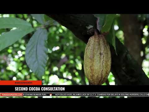 SECOND COCOA CONSULTATION