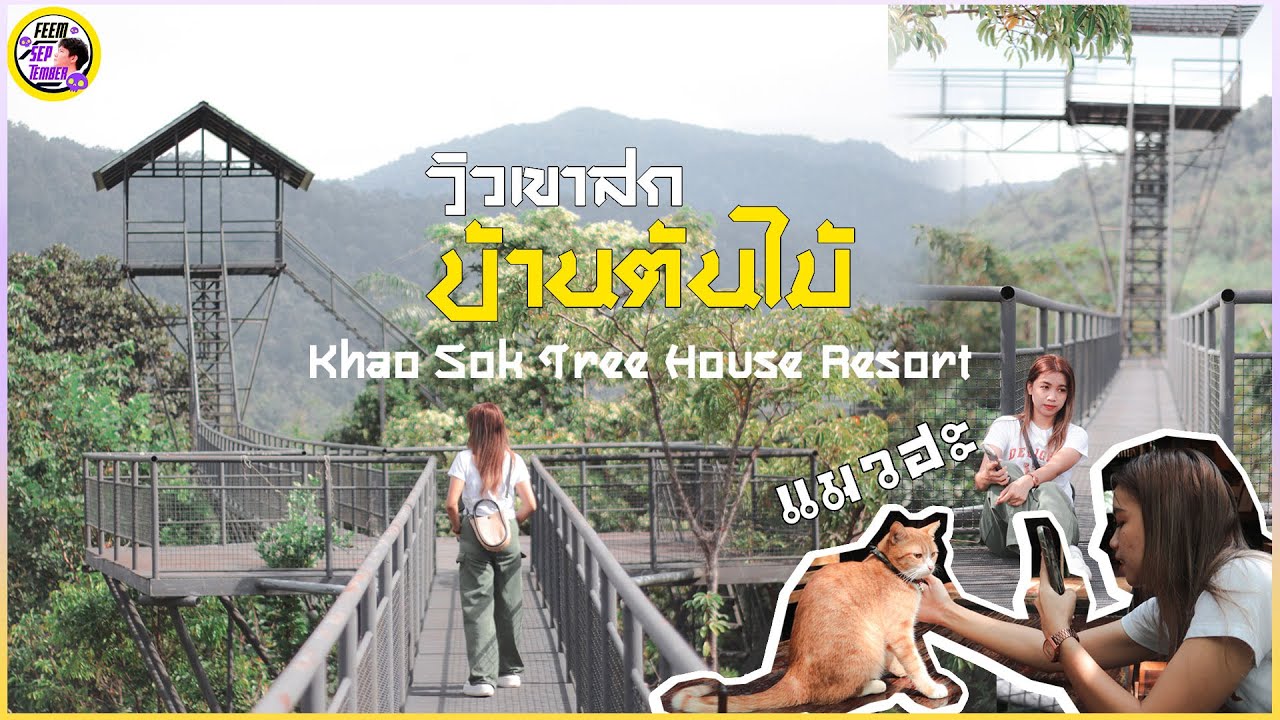 บ้านต้นไม้ skywalk เขาสก มีที่พัก | Khaosok @สุราษฎร์ธานี ที่เที่ยว2023 [ทั่นเกียว  ep.7] - YouTube