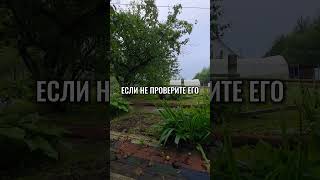 Вы должны проверить продавца! как  - рассказала здесь https://t.me/zaharova_agent_estate/1119 #дача