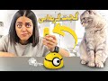 تست گجت های تیک تاکی برای گربه ها مایکی پشماش ریخت تست گجت های تیک تاکی برای گربه ها مایکی پشماش ریخت