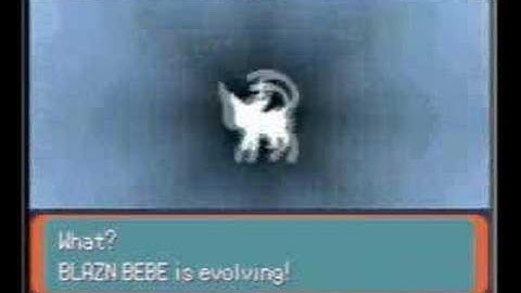 Blazin Bebe the Eevee evolves into Espeon