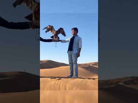 Dubai desert