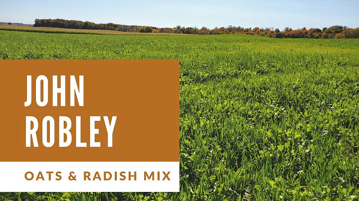 John Robley Oats and Radish Mix