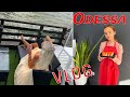 ОДЕССА: День Рождения мужа / Совиньон / Тая готовит суши! Odessa HOME VLOG