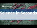 NIH Science in Seconds – Week of November 28, 2022