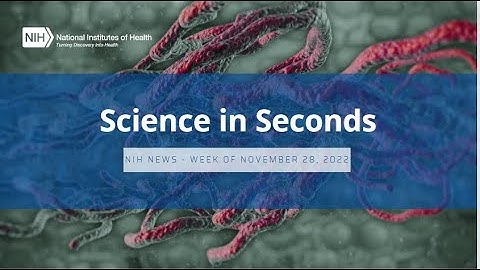 NIH Science in Seconds – Week of November 28, 2022