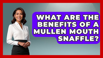 What Are The Benefits Of A Mullen Mouth Snaffle? - The Horses Stable