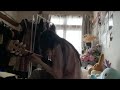 青葉市子 - みなしごの雨 歌いました