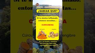 Si Te Sientes Inflamado, Problemas De Tiroides Y Estas Desanimado Necesitas Esto