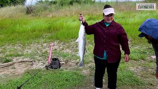 Sacramento River Striper Fishing from Freeport to Verona.