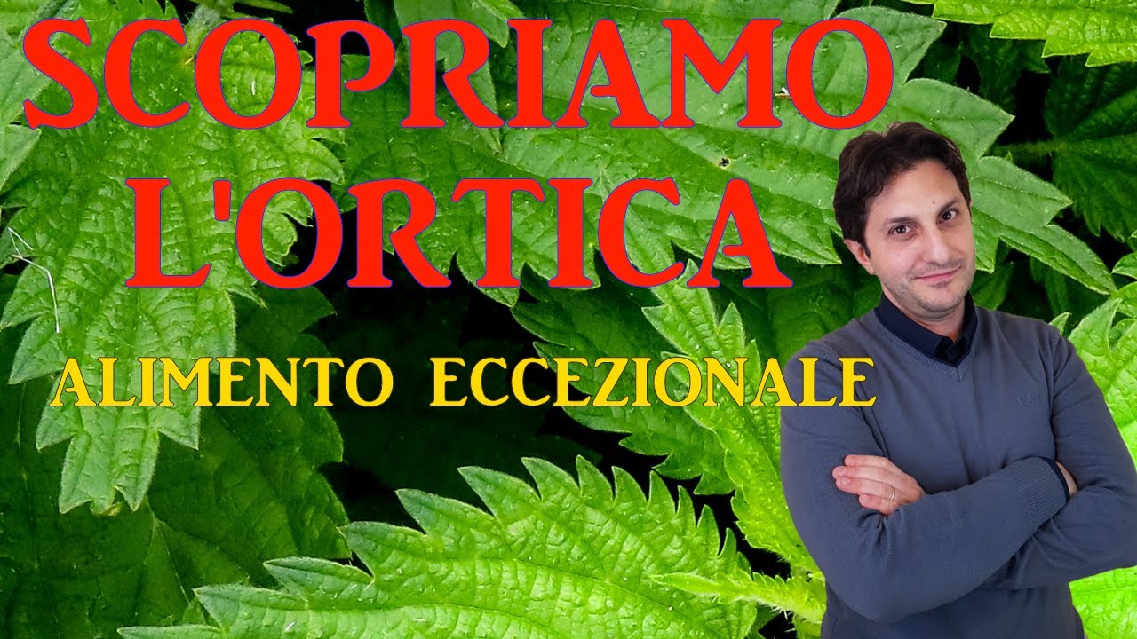 ORTICA UNA PIANTA CARICA DI SORPRESE? - Vediamolo Assieme