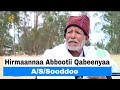 Hirmaannaa Abbootii Qabeenyaa A S Sooddoo Hirmaannaa Abbootii Qabeenyaa A S Sooddoo