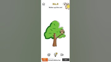Brain 🧠 out Game 🎮 level 8=Wake up the owl 🦉🦉. solution