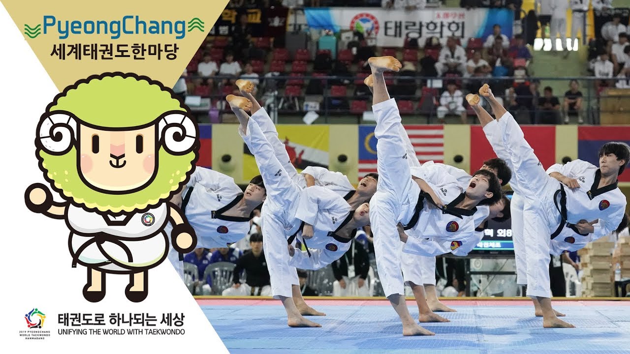 한마당 태권체조 주니어 Ⅱ 결선 1위 주니어 K타이거즈E!