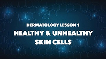 Dermatology Lesson #1- Skin Layer Model