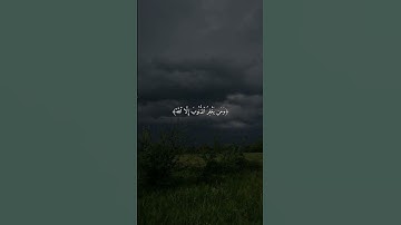 سورة ال عمران ١٣٥-١٣٦ | القارئ احمد العجمي #قرآن
