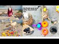 My home goat now baby dog and cat fun violation97sss india village youtube channel viral india